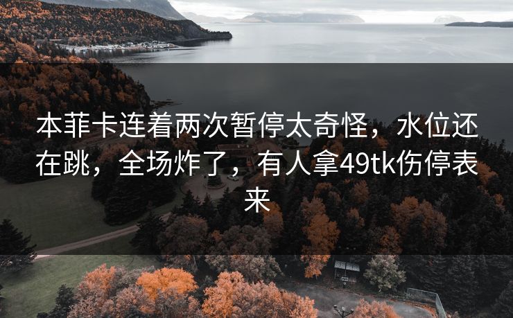 本菲卡连着两次暂停太奇怪,水位还在跳,全场炸了,有人拿49tk伤停表来