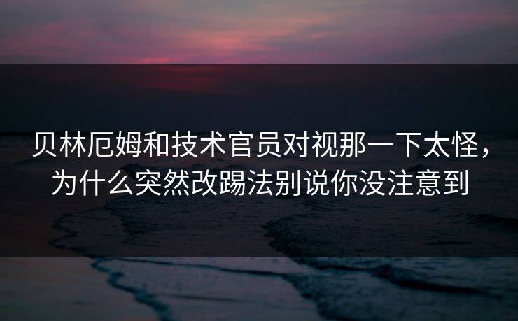 贝林厄姆和技术官员对视那一下太怪，为什么突然改踢法别说你没注意到