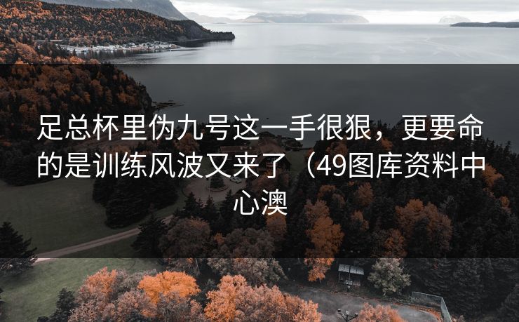 足总杯里伪九号这一手很狠，更要命的是训练风波又来了（49图库资料中心澳